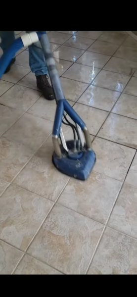 Arash Elite Cleaning - TruckMount Specialist & 5-Star Turnovers