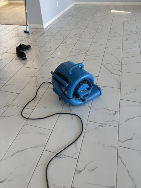 Arash Elite Cleaning - TruckMount Specialist & 5-Star Turnovers