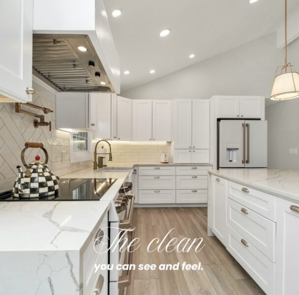 Flawless Spaces Cleaners